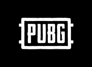 PC版『PUBG』去年より激しいDDoS攻撃を受けていたことを明らかに―対応と経過を公表 画像