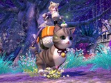 韓国産MMORPG『TERA』国内PC版サービスが終了―約10年の歴史に幕を下ろす 画像