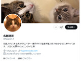 名越稔洋氏が個人Twitterアカウント開設！―猫ちゃんとエンタメについてつぶやく 画像