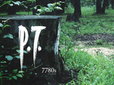 海外ユーザーが伝説的PS4ホラー『P.T.』を意外な所で発見も…ちょっとした好奇心が思わぬ落胆を呼ぶ 画像