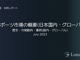 eスポーツ・ゲーム市場 調査分析スライド集「LunaTone Insight」発売ー営業資料などへ2次利用も可能 画像