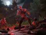 『ダイイングライト』開発Techland、複数のプロジェクトをキャンセル―『ステイヒューマン』の大成功からも赤字…転落の一途 画像