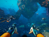『サブノーティカ2』巡る法廷闘争、開発CEO復職でSteam管理権も取り戻す―開発会社の元経営陣側の主張をほぼ全面的に認める 画像