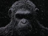 映画「猿の惑星」最新作がゲーム化、劇場公開と同時期に 画像