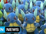 韓国で『ポケモン』偽ぬいぐるみが53万個摘発―クレーンゲーム景品として流通 画像