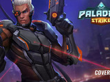 『Paladins Strike』スプラッシュアートに『オーバーウォッチ』の画像を使用？ 海外ユーザーが指摘 画像