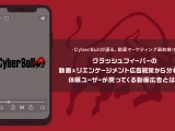 『クラッシュフィーバー』の動画×リエンゲージメント施策から分析する休眠ユーザーが戻ってくる動画広告とは？ 画像