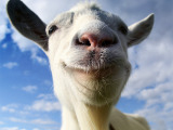 THQ Nordic、『FlatOut』シリーズのBugbearと『Goat Simulator』のCoffee Stain買収を発表 画像