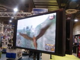 E3 2011、旅の記録・・・平林久和「ゲームの未来を語る」第20回 画像