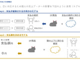 IPに依存する売上予測に悩める方へ―ソシャゲの売上リスクを減らすためのIP商品力を定量化する驚きのメソッド【CEDEC2021】 画像