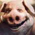 長らく音沙汰がなかった『Beyond Good and Evil 2』にリブート版『セインツロウ』にも携わった新ライターが参加