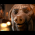 ユービーアイの『Beyond Good and Evil 2』ついに開発期間が最も長いゲームに…14年間かかった『Duke Nukem Forever』抜く