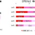 ゲーム配信「視聴経験あり」は約50％「配信することに興味がある」は約14％ ― ゲームエイジ総研の調査より