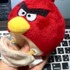 大人気ゲームアプリ『Angry Birds』を提供しているフィンランドの  Rovio Entertainment  が、11月30日（水）にフィンランド大使館にて業界関係者向けのレセプションを開催しました。