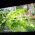 【WebX】コロプラ創業者が手掛けるブロックチェーンゲーム『Brilliantcrypto』、仮想空間で「宝石」を生み出す仕組みとは?