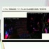 ホロライブのライブ公演はどうなってるの？実在感を大切にした照明演出システムや現場から見た視点を語る【CEDEC2025】