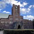 東京大学