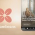 Google Labs、AIが毎日パーソナルストーリーを生成する実験的アプリ「Dreambeans」を公開