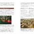 ボーンデジタル、レベルデザイン入門書を8月中旬に発売—「10原則」で感覚頼りのゲーム設計からの脱却を提案
