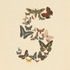 Anthropic、Claude Fable 5の明日復帰を予告。Opus 4.8よりちょい下のSonnet 5はすぐに使える（CloseBox）