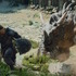 Cygames初のAAAオープンワールド『Project Awakening』開発状況が明らかに！発表から約10年、“これから一気に加速していく段階”