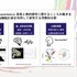 なぜ人は「バッドエンド」のゲームに惹かれるのか？ 神経美学が紐解く、ネガティブな感情が感動に変わる理由【CEDEC2026】