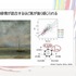なぜ人は「バッドエンド」のゲームに惹かれるのか？ 神経美学が紐解く、ネガティブな感情が感動に変わる理由【CEDEC2026】