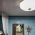 『めっちゃカメレオン』“偽物スマホ版”を謳う広告がYouTubeに…過去には偽SNSアカウントやVR版コピー作も