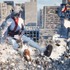 巨大娘シミュレーター『GIANTESS PLAYGROUND』Steam早期アクセス開始も、開発者は「許可していない」と主張。開発協力者とのトラブル続く