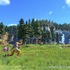 『ドラクエ』がシリーズ累計販売本数1億本を突破！堀井雄二氏も感謝のメッセージ「ここまで来るとは夢にも思いませんでした」