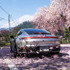 『Forza Horizon 6』“痛車”削除やBANの報告相次ぐ―運営がユーザー生成コンテンツの審査・取り締まり基準を明確化するも線引きが曖昧との声
