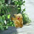 『ポケモンGO』規制要請をした一宮市長に脅迫メールが届く