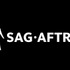 SAG-AFTRAの声優ストライキが終結、1年以上の協議の末に正式合意