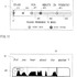 任天堂の次なる目標は発音認識のようです。